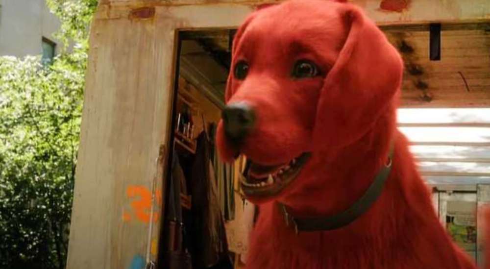 Большой красный пес Клиффорд 2