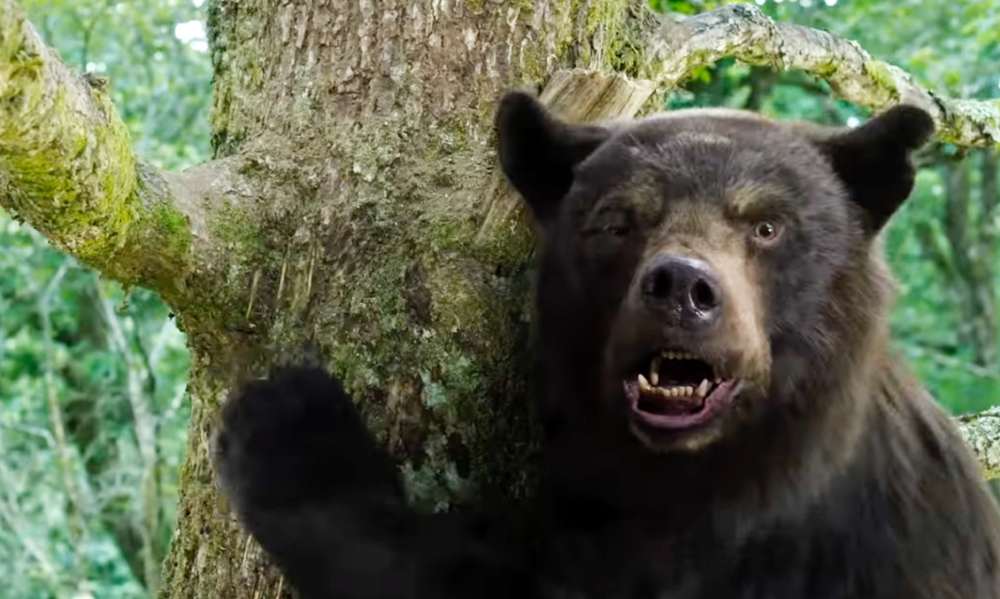 Кадр из фильма «Кокаиновый медведь»